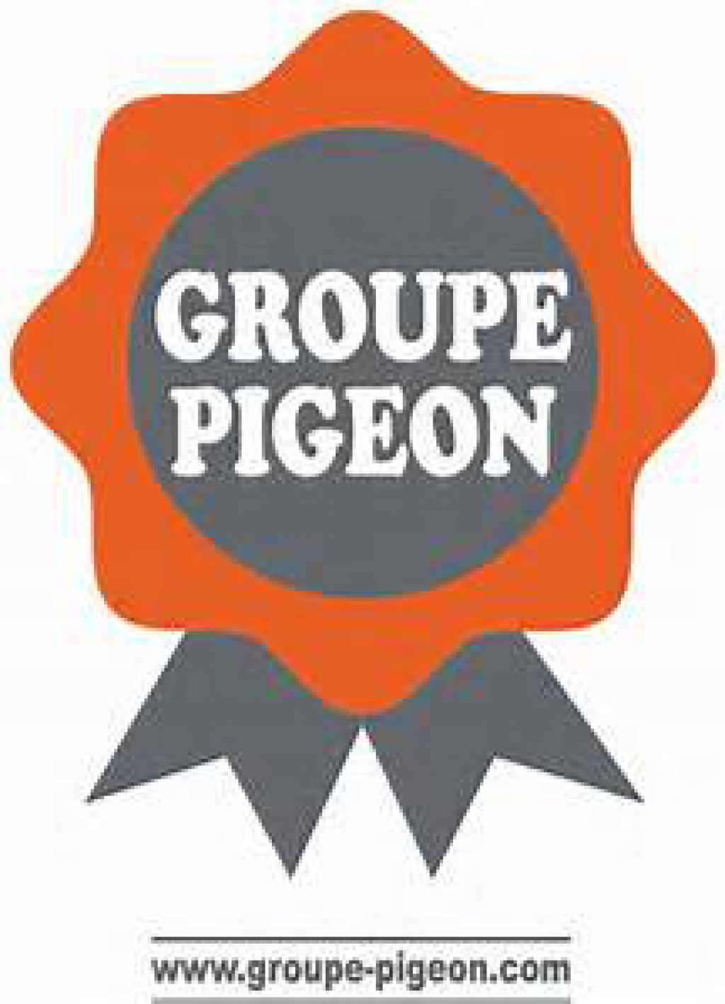 Th Groupe PIGEON